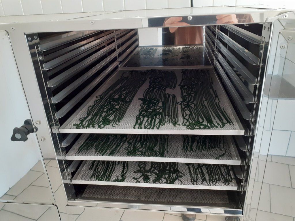 Mise en place des claie de séchage avec la spiruline dans le déshydrateur pendant 10h