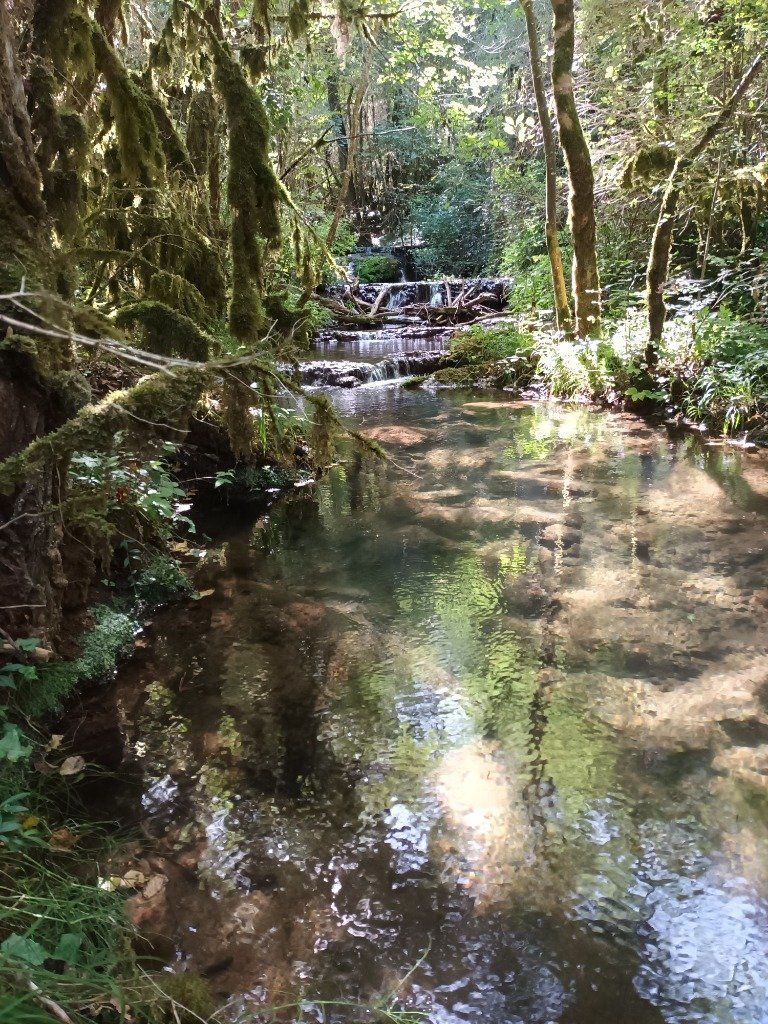 Suivre le ruisseau de la Vallade qui vous mènera au cœur des Raspes du Tarn