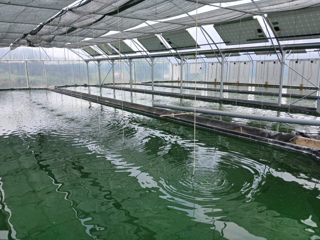 Bassin en cour de production