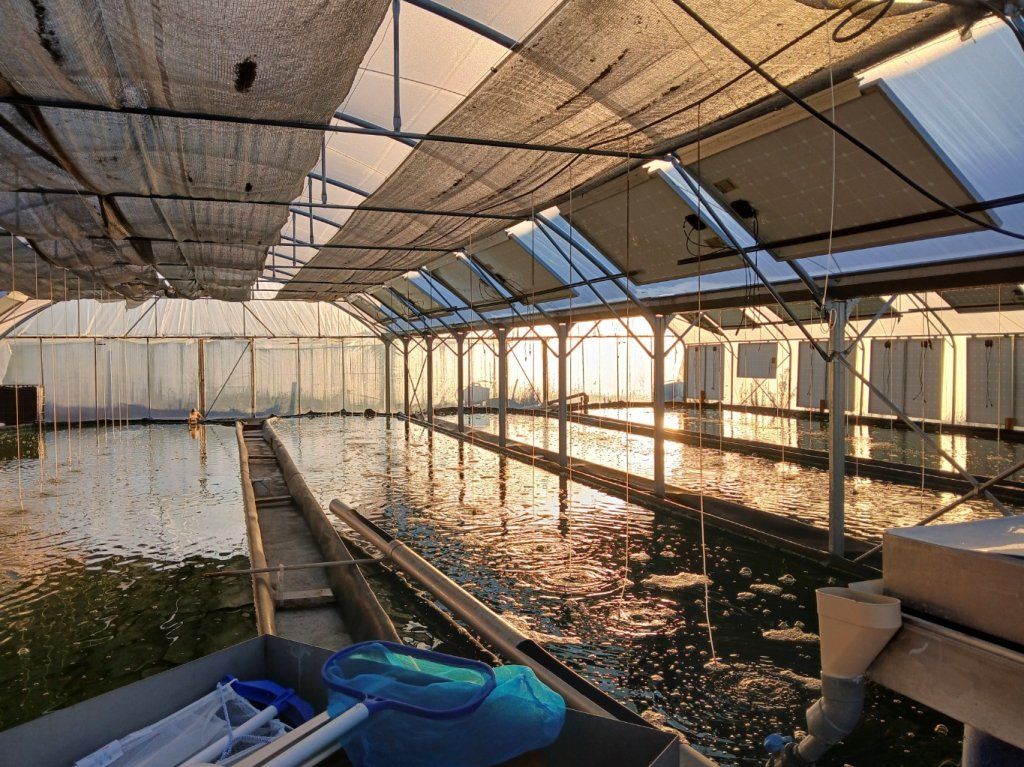 Bassin au petit matin