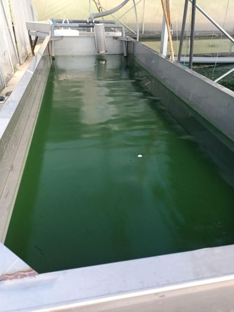 Filtration d'un bac finie