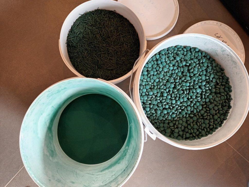 La spruline séché avec moins de 0,4% d'humidité restante et sous forme de brindilles en sortie du désydrateur.
 Réduit en poudre avec un moulin à farine, celle-ci et juste comprimé sans adjuvent pour faire les comprimés
