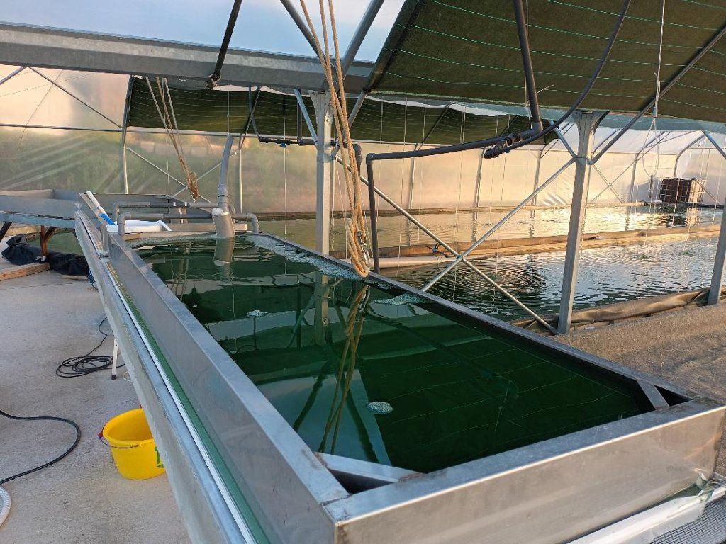 remplissage des bacs de filtrations